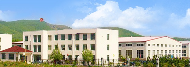 大连罕王精密轴承有限公司厂区全景